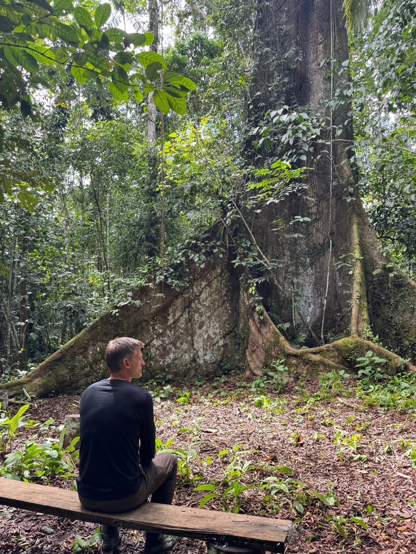 Nikolaj Coster-Waldau sitting beneath a giant rainforest tree during filming for series two